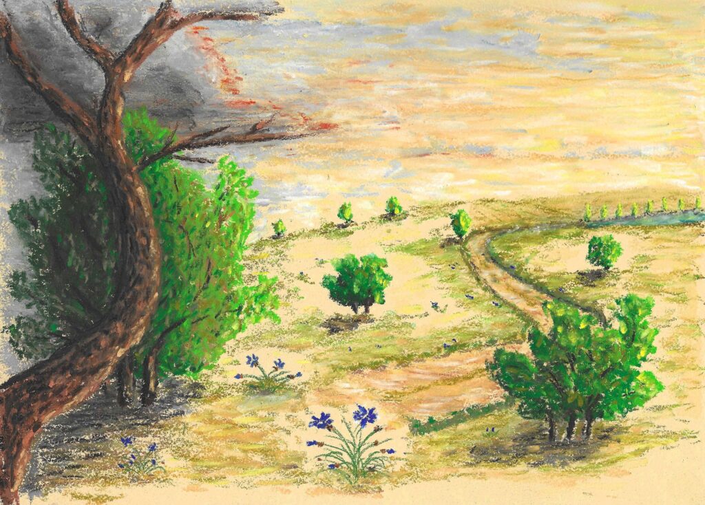 cheminement personnel de l'ombre à la lumière